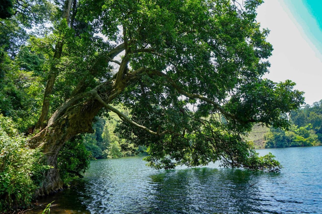 Lake Nyamirima Cottages Fort Portal Exterior foto